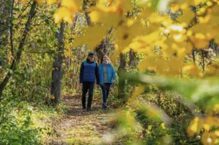 Couple marchant en forêt aux couleurs d’automne