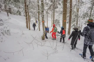 Groupe en raquettes dans forêt enneigée