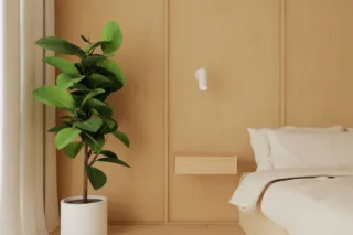 Chambre minimaliste en bois avec plante verte