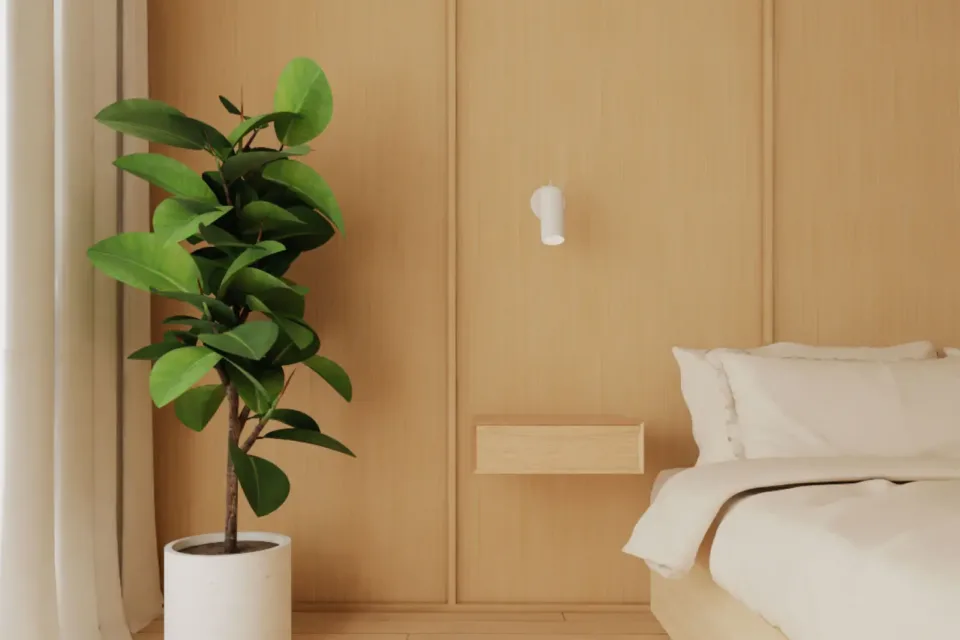 Chambre minimaliste en bois avec plante verte
