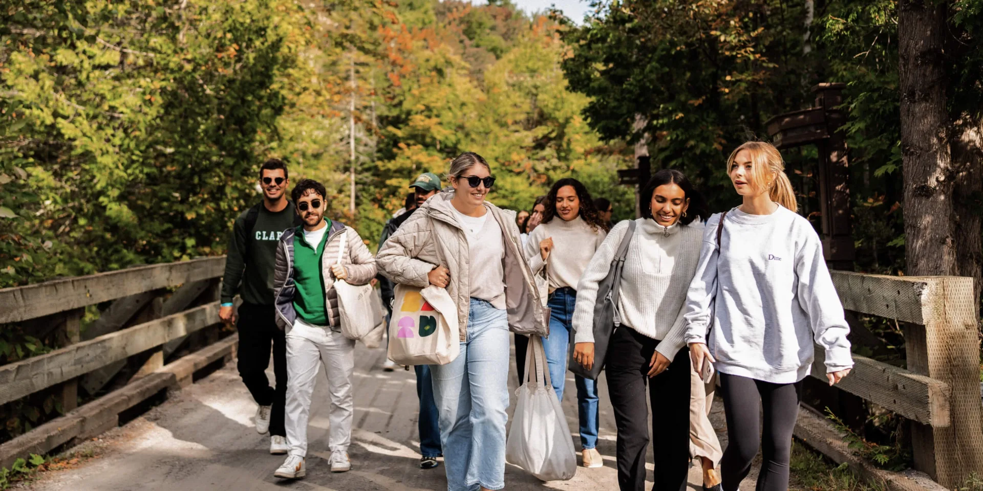 Groupe d'amis marchant sur un pont forestier