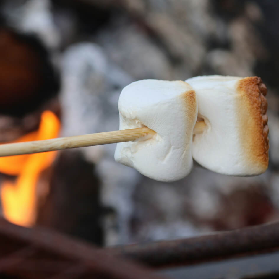 Guimauves grillées sur bâton au-dessus du feu