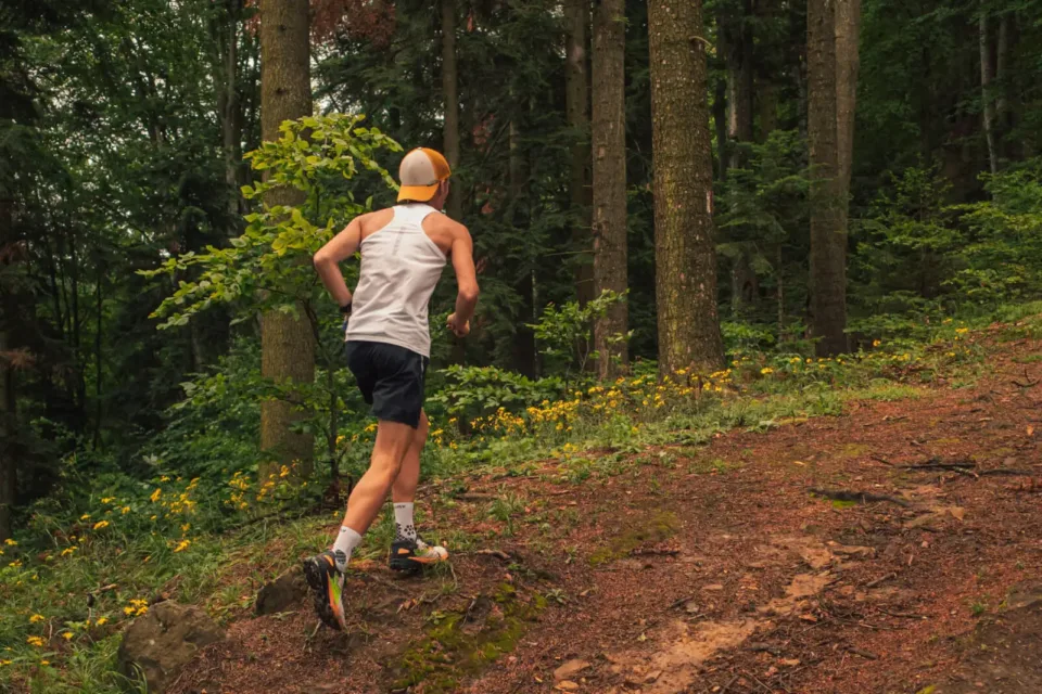 Coureur en trail dans une forêt verdoyante