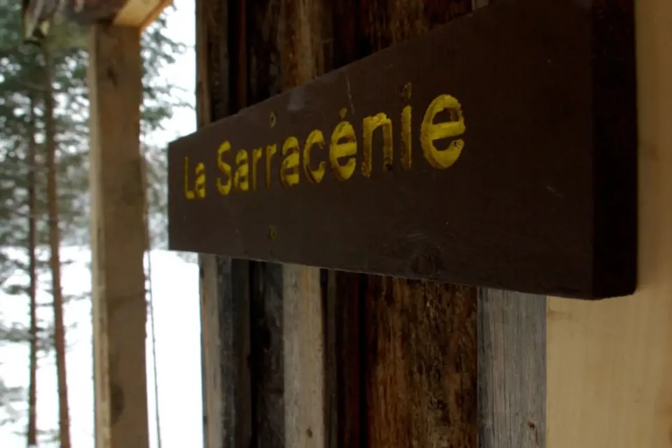 Wooden La Sarracénie sign on rustic cabin wall