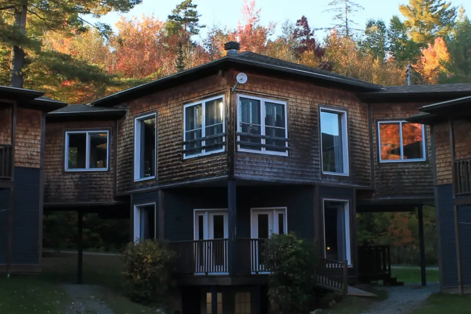 Modern wooden pavilion surrounded by autumn forest