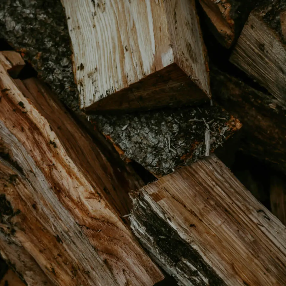 Close-up of stacked cut firewood logs