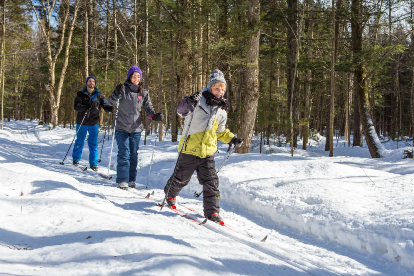 Famille faisant du ski de fond en forêt enneigée
