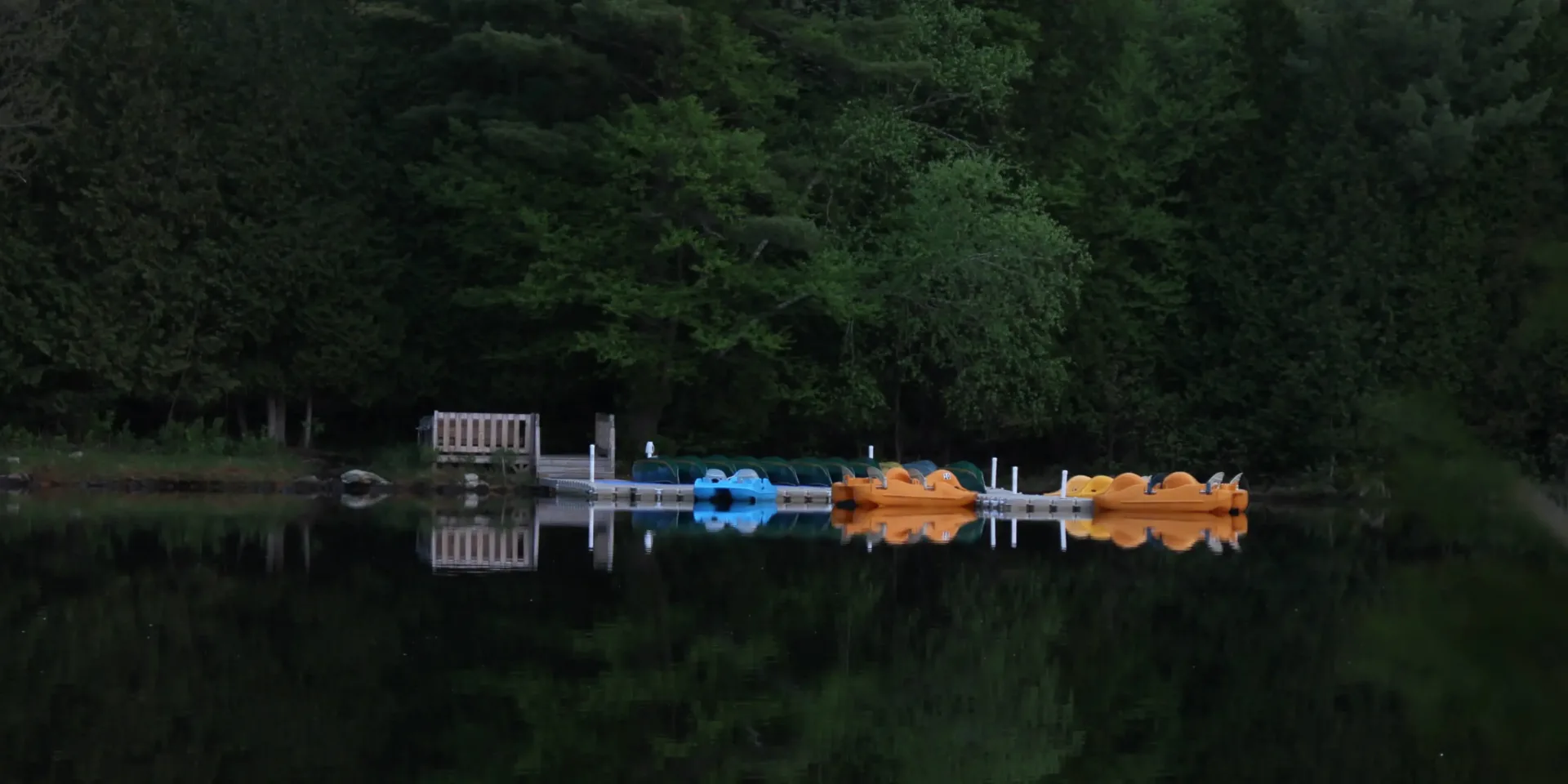 Pédalos colorés amarrés à un ponton forestier calme